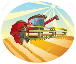 7114816-harvesting-machine-combine-reaping-wheat-stock-photo